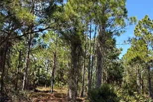 844 Bianca Ave S, Lehigh Acres, FL 33974 - Photo 8