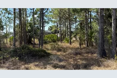 844 Bianca Ave S, Lehigh Acres, FL 33974 - Photo 12