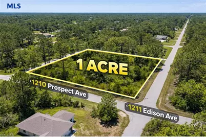 1211 Edison Ave, Lehigh Acres, FL 33972 - Photo 2