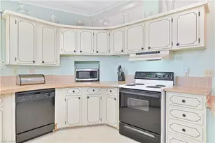 9867 Sugarberry Way, Fort Myers, FL 33905 - Photo 10