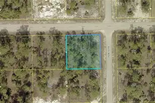901 W 17th St, Lehigh Acres, FL 33972 - Photo 1