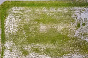 4426 NW 32nd St, Cape Coral, FL 33993 - Photo 4