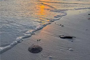 4411 Bay Beach Ln, Fort Myers Beach, FL 33931 - Photo 14