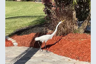 Lot 260 3010 Gray Eagle Pkwy, Labelle, FL 33935 - Photo 4