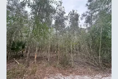 2258 Brooklawn Dr, North Fort Myers, FL 33917 - Photo 4