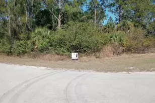 3113 52nd St W, Lehigh Acres, FL 33971 - Photo 1