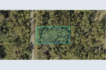 2104 Louis Ave, Alva, FL 33920 - Photo 4