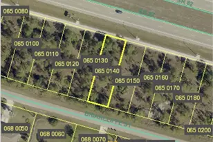 1149 Briarcliffe St, Fort Myers, FL 33913 - Photo 1