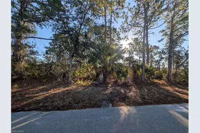 6004 Olive Ave N, Lehigh Acres, FL 33971 - Photo 2