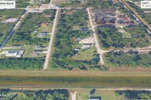 6004 Olive Ave N, Lehigh Acres, FL 33971 - Photo 4