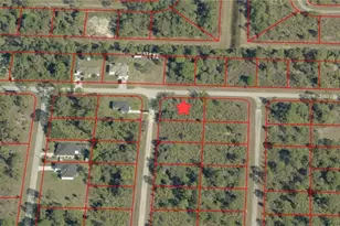 231 Nancy Avenu S, Lehigh Acres, FL 33974 - Photo 4