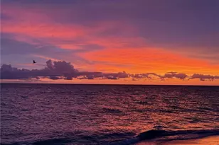 516 Longboat Cir, Captiva, FL 33924 - Photo 8