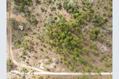 49599 Bermont Rd, Punta Gorda, FL 33982 - Photo 4