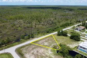 3819 Andalusia Blvd, Cape Coral, FL 33909 - Photo 4