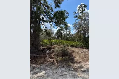 7969 3rd Ter, Labelle, FL 33935 - Photo 2