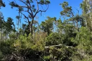 7000 Guava Ave, Bokeelia, FL 33922 - Photo 6