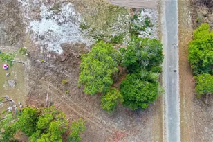 841 Dante Ave S, Lehigh Acres, FL 33974 - Photo 4