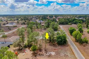 841 Dante Ave S, Lehigh Acres, FL 33974 - Photo 1