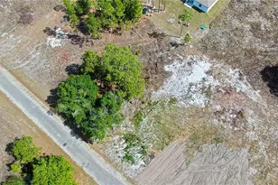 841 Dante Ave S, Lehigh Acres, FL 33974 - Photo 6