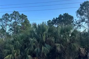 665 Woodcrest Dr, Lehigh Acres, FL 33972 - Photo 2