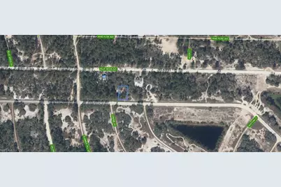 390 Jack Weisser Blvd, Lake Placid, FL 33852 - Photo 2