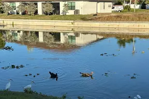 3303 SW 15th Pl, Cape Coral, FL 33914 - Photo 18