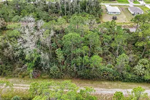 515 Woodman Dr, Lehigh Acres, FL 33972 - Photo 6