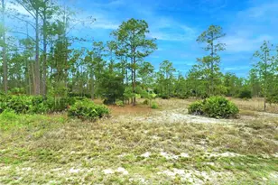 907 Johns Ave, Lehigh Acres, FL 33972 - Photo 1