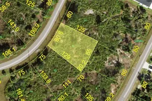 250 Saluda Terrace, Port Charlotte, FL 33953 - Photo 1