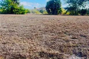1139 NW 9th Pl, Cape Coral, FL 33993 - Photo 4