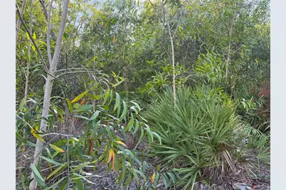 7091 Guava Ave, Bokeelia, FL 33922 - Photo 6