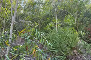 7091 Guava Ave, Bokeelia, FL 33922 - Photo 6