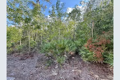 7091 Guava Ave, Bokeelia, FL 33922 - Photo 4