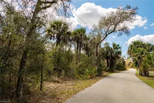 3751 Bateman Rd, Alva, FL 33920 - Photo 2
