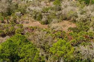 3751 Bateman Rd, Alva, FL 33920 - Photo 26