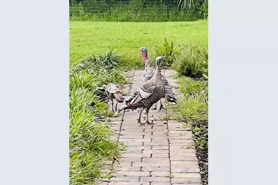 3551 Red Barn, Ormond Beach, FL 34174 - Photo 10