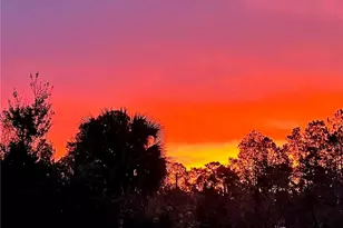 3551 Red Barn, Ormond Beach, FL 34174 - Photo 14