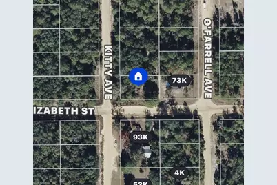 0180 Elizabeth St, Interlachen, FL 32148 - Photo 1