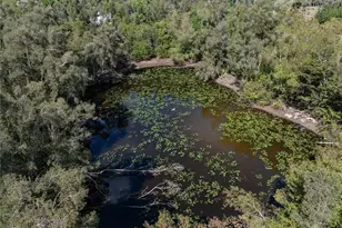 15710 Shamrock Dr, Fort Myers, FL 33912 - Photo 6