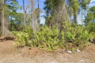 1019 Macy St E, Lehigh Acres, FL 33974 - Photo 1