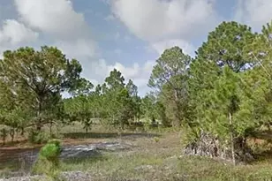 862 Arogon St E, Lehigh Acres, FL 33974 - Photo 2