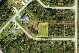 12578 Brill Ln, Port Charlotte, FL 33953 - Photo 1