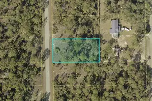2110 Wells Ave, Alva, FL 33920 - Photo 2