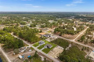 938 Bolivia Dr, Lehigh Acres, FL 33974 - Photo 34