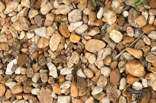 5222 Pineland Daisy Trail, Fort Myers, FL 33905 - Photo 34