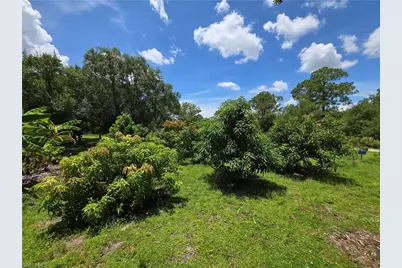 501 Wildwood Ave, Clewiston, FL 33440 - Photo 22