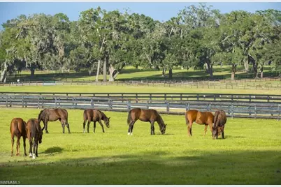 4880 Landen Ln, Fort Myers, FL 33905 - Photo 6
