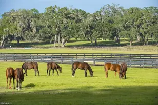 4880 Landen Ln, Fort Myers, FL 33905 - Photo 6