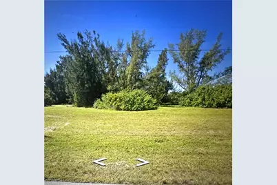 2820 NW 45th Ave, Cape Coral, FL 33993 - Photo 4