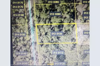 2104 Grant Ave, Alva, FL 33920 - Photo 1